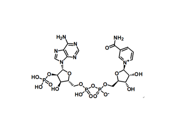 β-煙酰胺腺嘌呤雙核苷酸磷酸